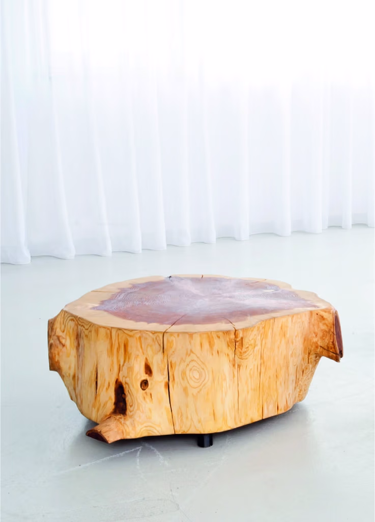 Couchtisch aus Massivholz aus der MORGEN Kollektion als charakterstarkes Designmöbel mit natürlicher Oberfläche.